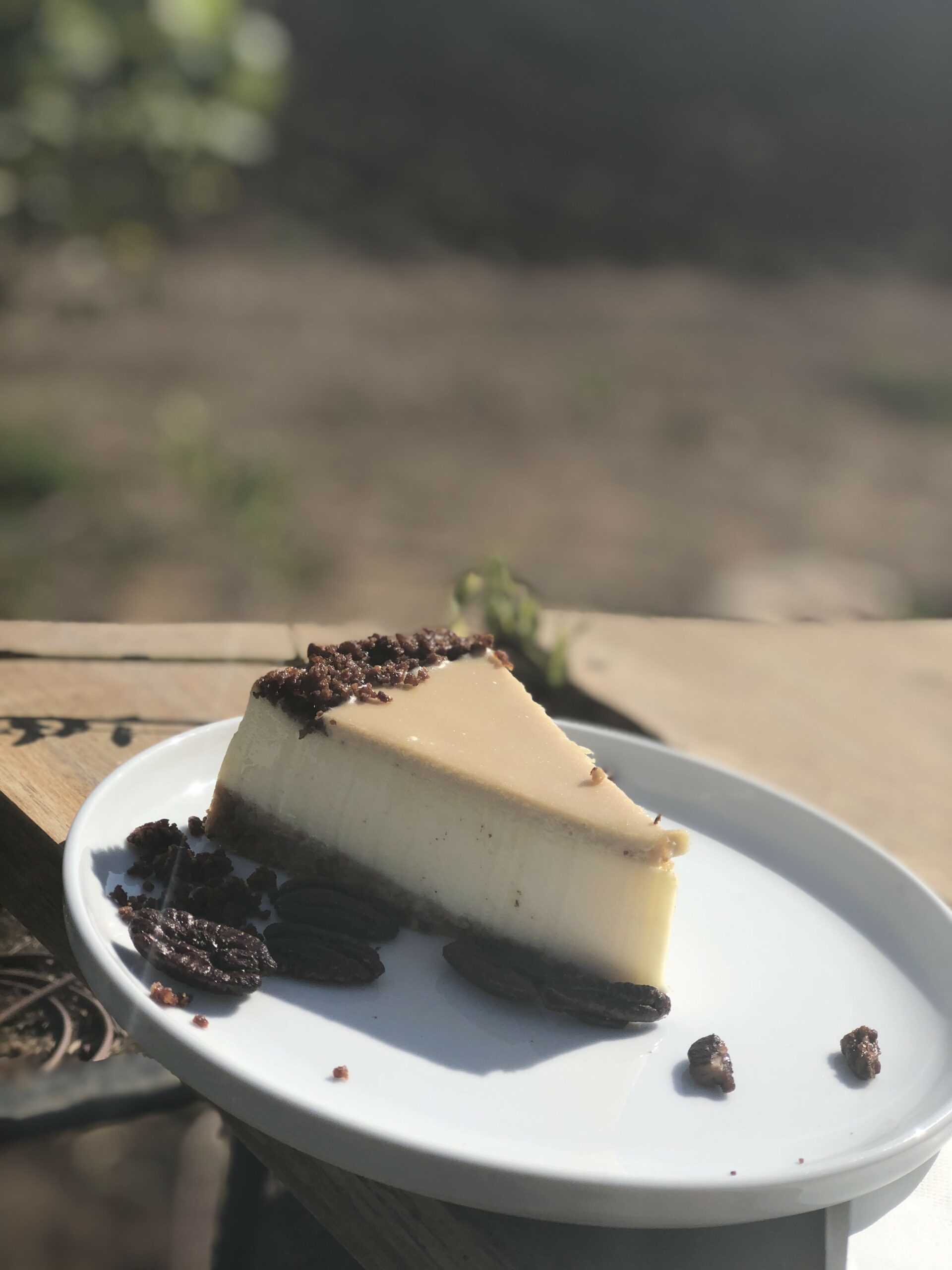 עוגת גבינה עם קרם קפה -מסעדת ארטישוק בית אלפא 